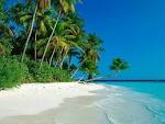 Paradise Car Insurance | Free Paradise Car Insurance