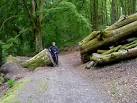 Clearing the dead wood! On the path to Comrie. - via Daymix
