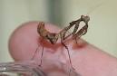 ZooBorns: Fort Wayne Children's Zoo