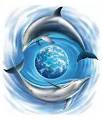 Dolphin Tattoo Designs