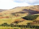 From high up on Broad Clough, the view down the valley over Upper House, - via Daymix