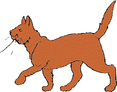 Obrazek