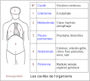 Encyclopedie - Medicalorama