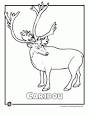 Caribou coloring page