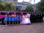 Rent The Pink Limo