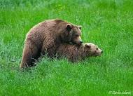 images?q=tbn:ANd9GcQRDeJQj4avDACQL2Te-MKrnCJhUzCtUy9Io1H71yQ8f2y_wl9YSpTmmkHC