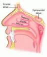 concha - definition of concha in the Medical dictionary - by the ...