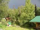 Small log house and dog log - via Daymix