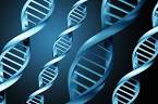 DNA Testing is Easier and More Affordable Than Ever and Can Be ...