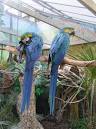 the Palms Tropical Oasis - via Daymix