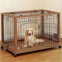 Crate Training