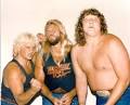 THE FABULOUS FREEBIRDS