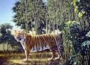 The Hidden Tiger Picture