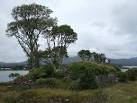 Castles of Munster: Dunboy, - via Daymix
