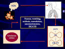Cyanide Poisoning - The Naked Scientists 2006.04.
