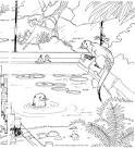 Otter coloring page
