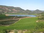 File:Atlas Peak vineyards Napa Valley.jpg - Wikipedia, the free ...
