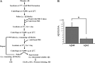 Development of new screening system for Alzheimer disease, in ... 