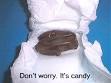 Top 10 Grossest Halloween Candy chocka-ca-ca – Top 10 Lists