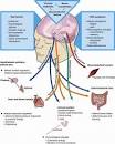 Chronic Fatigue Syndrome - Physiopedia, universal access to ...