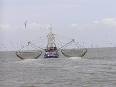 Fishing vessel - Wikipedia, the free encyclopedia