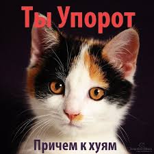 images?q=tbn:ANd9GcQTPq9CXid9bZsBaaO0jgYsOK7Wg5ngedy6lqaHrUW5pb290yI89w