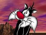 http://www.myfreewallpapers.net/cartoons/wallpapers/sylvester.jpg