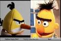 Yellow Angry Bird Totally Looks Like Bert   Totally Looks Like