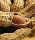 TotalBeverage.net | FOR NATIONAL PEANUT DAY TODAY: A Curried ...