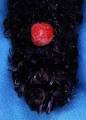 Canine Cutaneous Histiocytoma