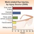 Work-related <b>Eye Injuries</b>