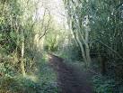 This end of Green Lane is just a bridleway. - via Daymix