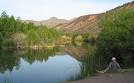 Verde River Sheep Bridge