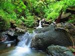El Yunque National Forest | Find Best Place for Traveling