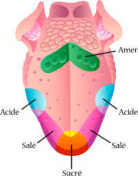 images?q=tbn:ANd9GcQUPUlUzzpzSx1FtJRFdfr10WIYXXk8DQIYOr_VINAdoY-9qIWQoFHbCuSg4A