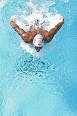 Butterfly stroke - Wikipedia, the free encyclopedia