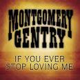 Montgomery Gentry - If You Ever Stop Loving Me - MP3 Download ...