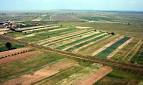 România, noul Eldorado pentru achiziţia de terenuri agricole ...