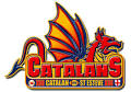 French rugby club Catalans Dragons signs Setaimata Sa | Enjoy France