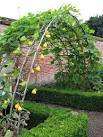 of gourds (Cucurbita spec. - via Daymix