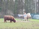 as:- Britain's largest private collection of exotic animals and Europe's - via Daymix