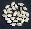Arborio rice - Wikipedia, the free encyclopedia