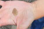 News  Why a flint arrowhead at a medieval monastery