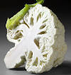 how-to-grow-cauliflower- ...