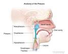 Most <b>hypopharyngeal</b> cancers
