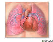 Pulmonary Hypertension: MedlinePlus