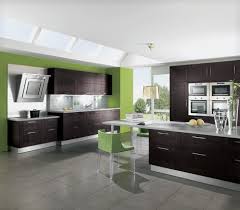 Luxury dark kitchen