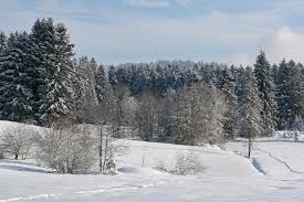 Schneelandschaft - Bild \u0026amp; Foto von Heinz Kleu aus Winter ...