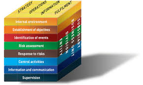 Risk Management