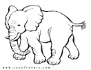 Elephant coloring page
